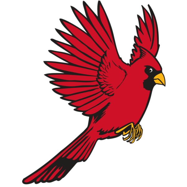 BAW CARDINAL 19 RC Thumbnail