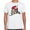 Mens Softstyle Tee Shirt Thumbnail